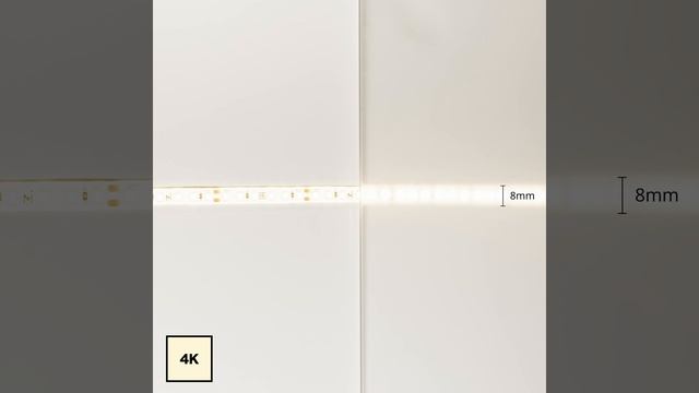 Светодиодная лента Maytoni Led Strip Base 24V 201181