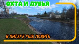 В Питере рыб ловить. Охта и Лубья. Рыбалке в городе