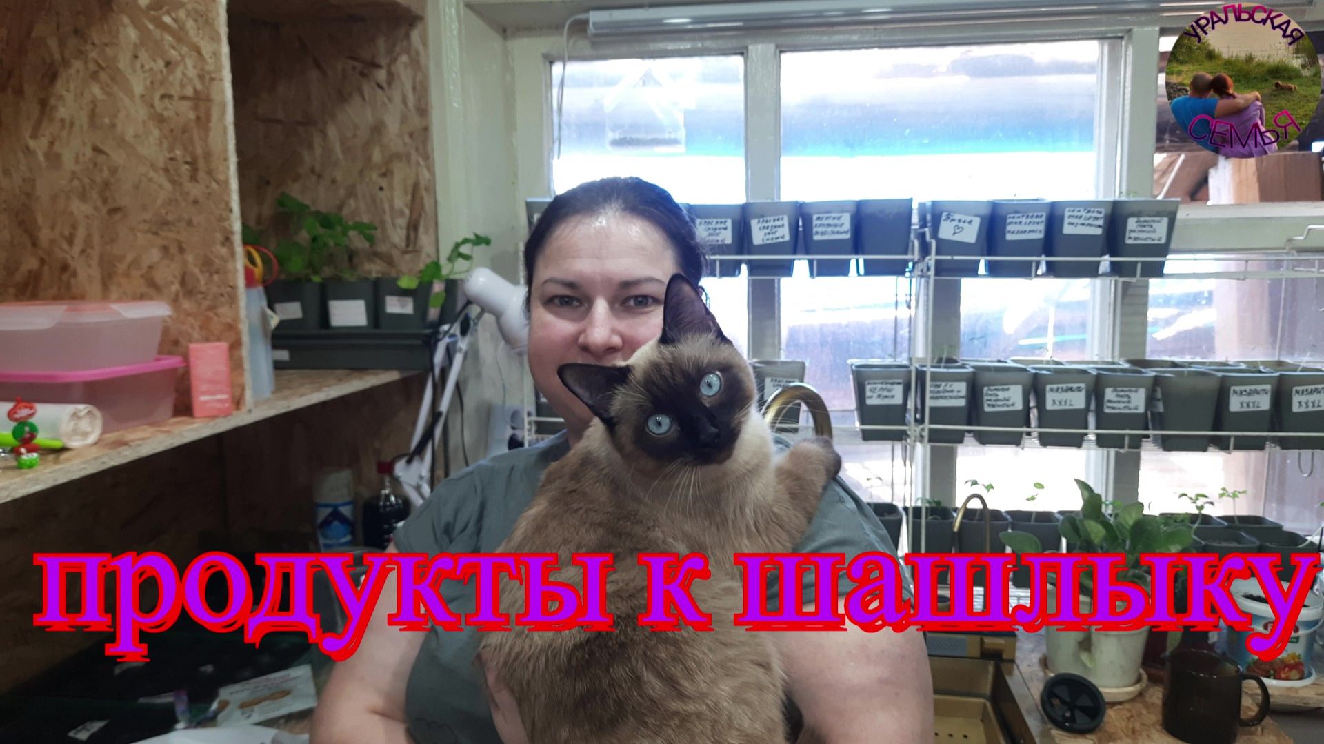 Докупили продукты к шашлыку.