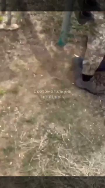 УКРАИНА. БУСИФИКАЦИЯ. ОДЕССА.