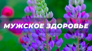 Мужское здоровье | Саблиминал
