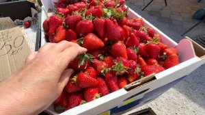 29.04 2026. Крым рынок. Вот  это ‼️Цены 👀 перед майскими праздниками 🙈 #черноморское #западныйкрым