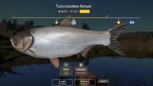 Река Сура Ловлю сазана, толстолобика , щуку, хариуса, сома