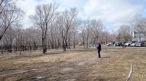 6 Отл. ДЕФЕНСО из Белого Яра +++ №18. КОМСОМОЛЬСК-НА-АМУРЕ 26 апреля`26 Моно немецких овчарок