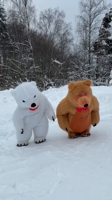 Мы в восторге от этого дуэта! 🐻❄️+🐻