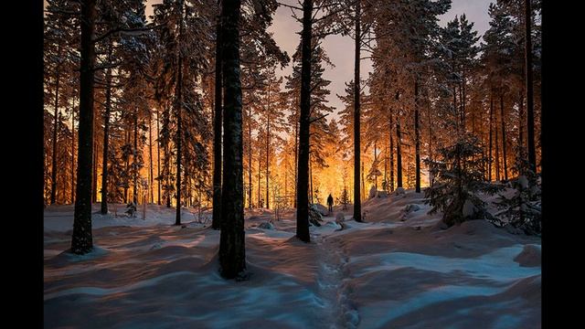 Знакомство с творчеством  Микко Лагерстедт Mikko Lagerstedt