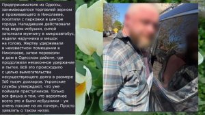 Николаев 30 апреля 2026 года (новости)