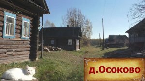 Деревни в глубинке России. Скромная деревня среди полей и лесов на севере Нижегородской области.