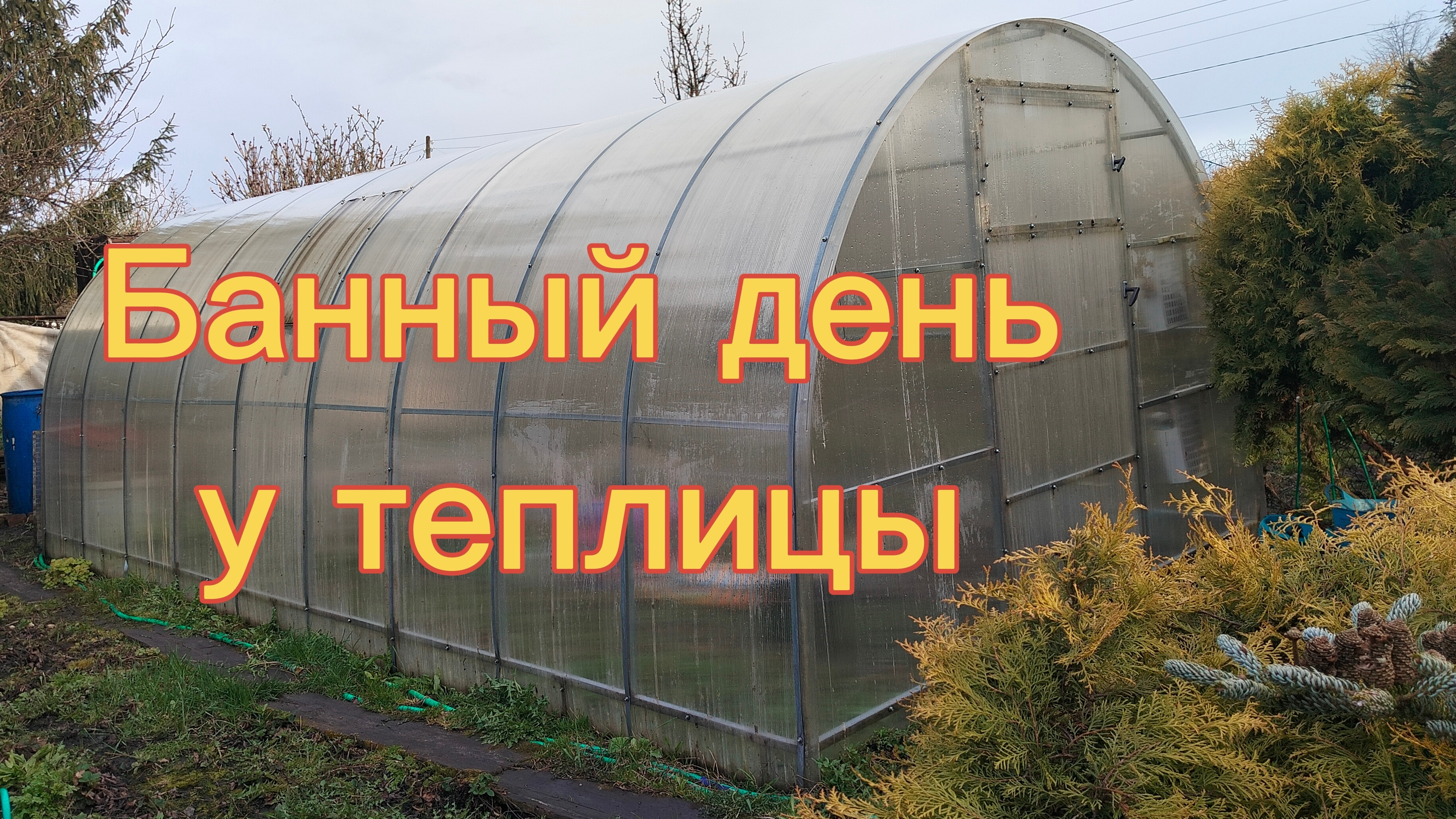 БАННЫЙ ДЕНЬ У ТЕПЛИЦЫ. 29-04-2026