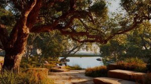 У березки зелёной.