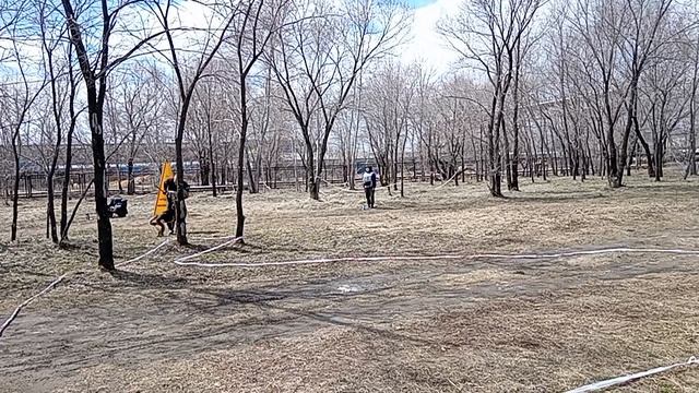 1 Отл. КЧК Steel Inside GARROTA №29. КОМСОМОЛЬСК-НА-АМУРЕ 26 апреля`26 Моно немецких овчарок