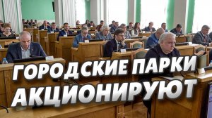 Городские парламентарии хотят улучшить экономические показатели омских  парков