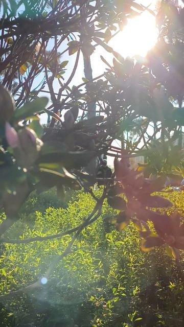 29-04-2026