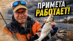 КЛЮЁТ КАЖДЫЙ ЗАБРОС… ЯЗЬ, ГУСТЕРА, ОКУНЬ | мормышинг в холодную погоду (CF Nano Travel Air)