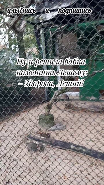 баба яга и самогонка