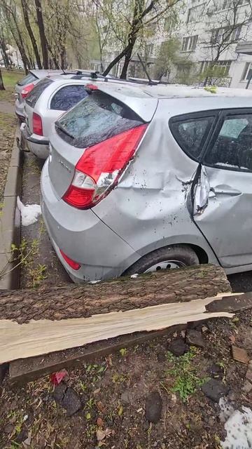 Город vs Загородка или о чем напомнит буря.