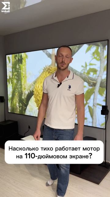 Насколько тихо работает мотор на 110-дюймовом экране?
