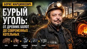 Вся правда про БУРЫЙ УГОЛЬ: как образуется, где применяется и проблемы газификации