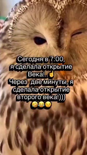 Video_2026-04-12_16-51-59