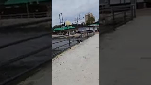 Настино счастье на берегу моря