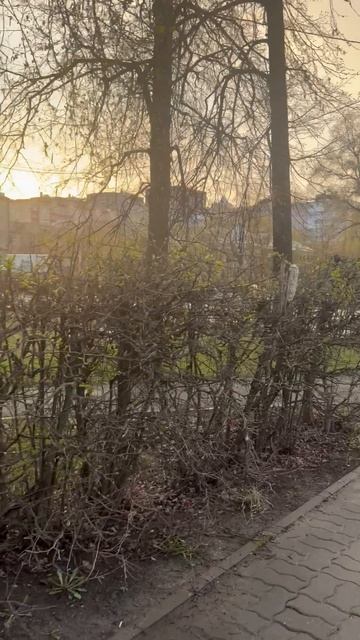 Прогулка по Подмосковью ч.21