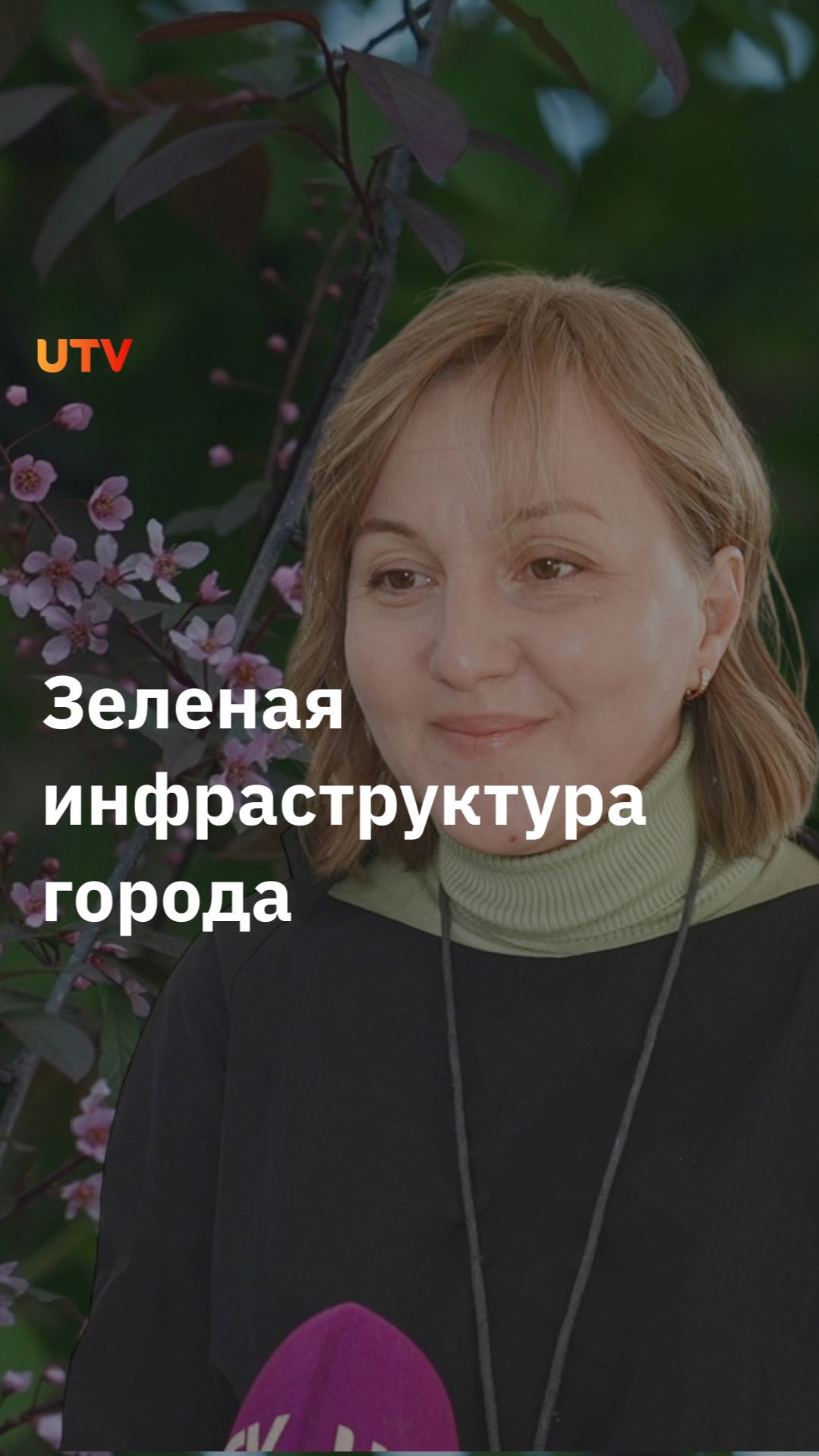 Сколько деревьев и растений нужно городу?