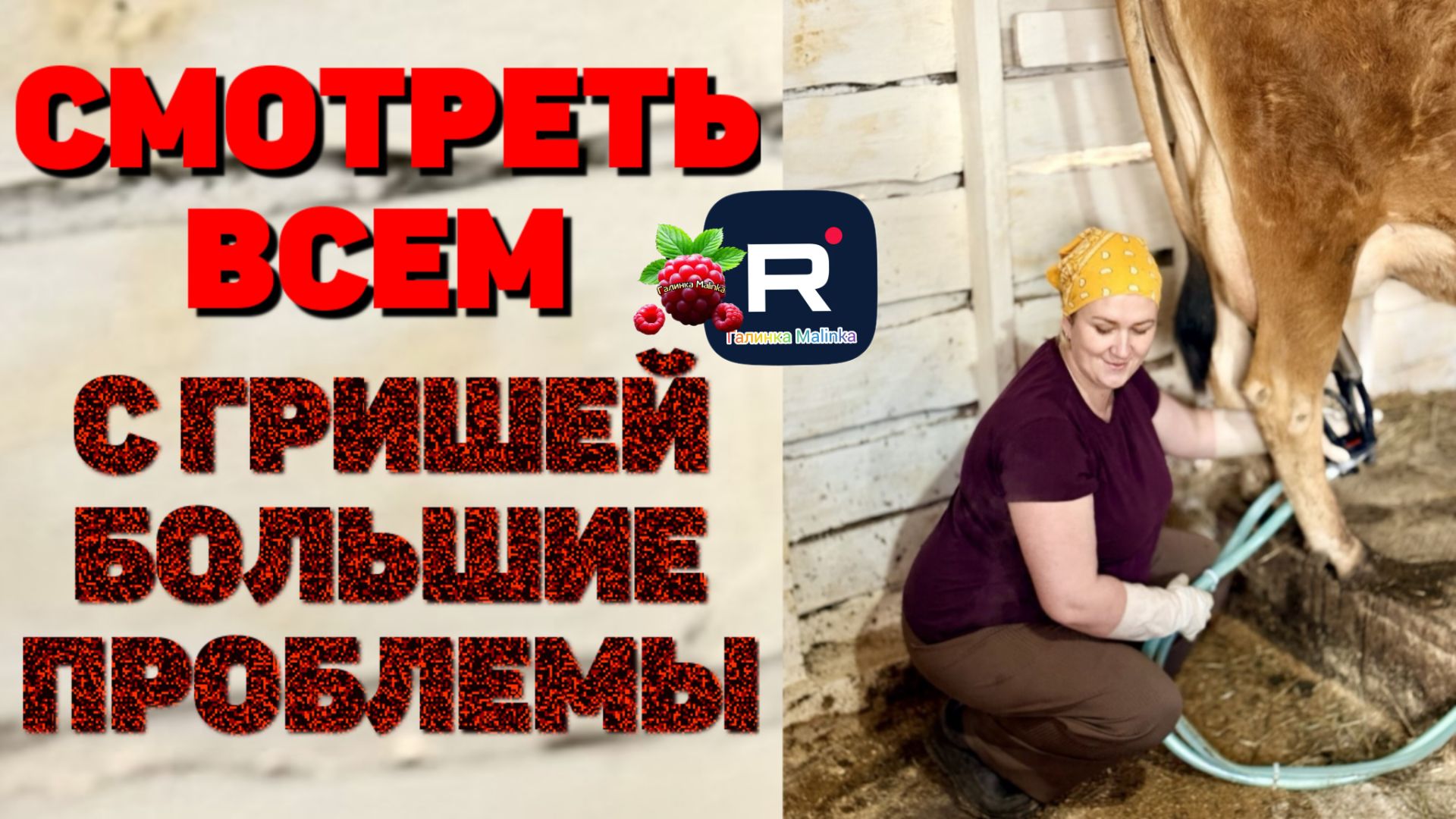 Деревенский дневник _Смотреть всем _С Гришей большие проблемы _Обзор _Леля Побируха _Ольга Быкова