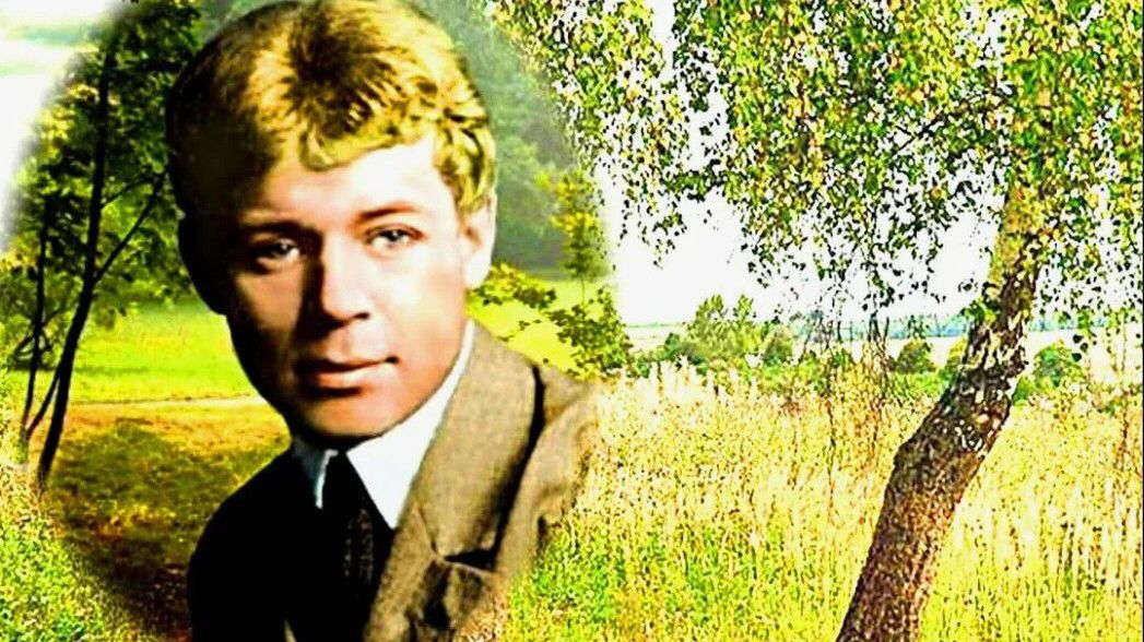 "Экскурсии Тимирязевки".  Серия 8 - "Константиново-2025".