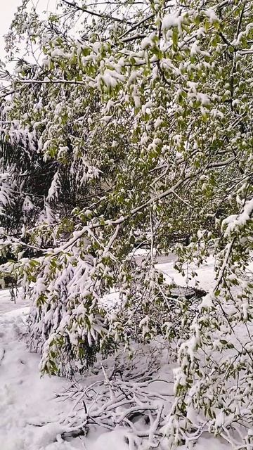 Апрель в Москве 
апрель2026
вмоскве удивительноерядом
весна2026