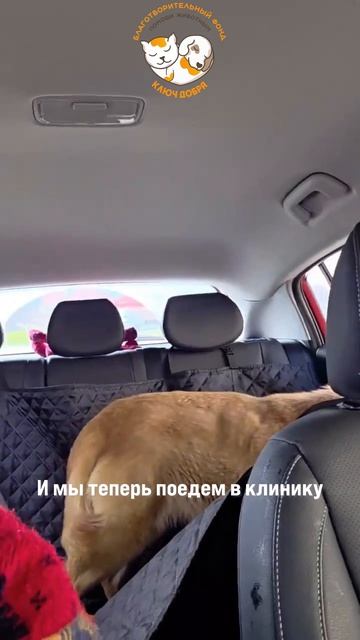 Благодаря вам