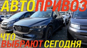 КУРСЫ ВНИЗ, АЖИОТАЖ ВВЕРХ / SUZUKI SOLIO IGNIS TOYOTA YARIS HONDA FIT STEP WAGON MAZDA CX-30 CX-5