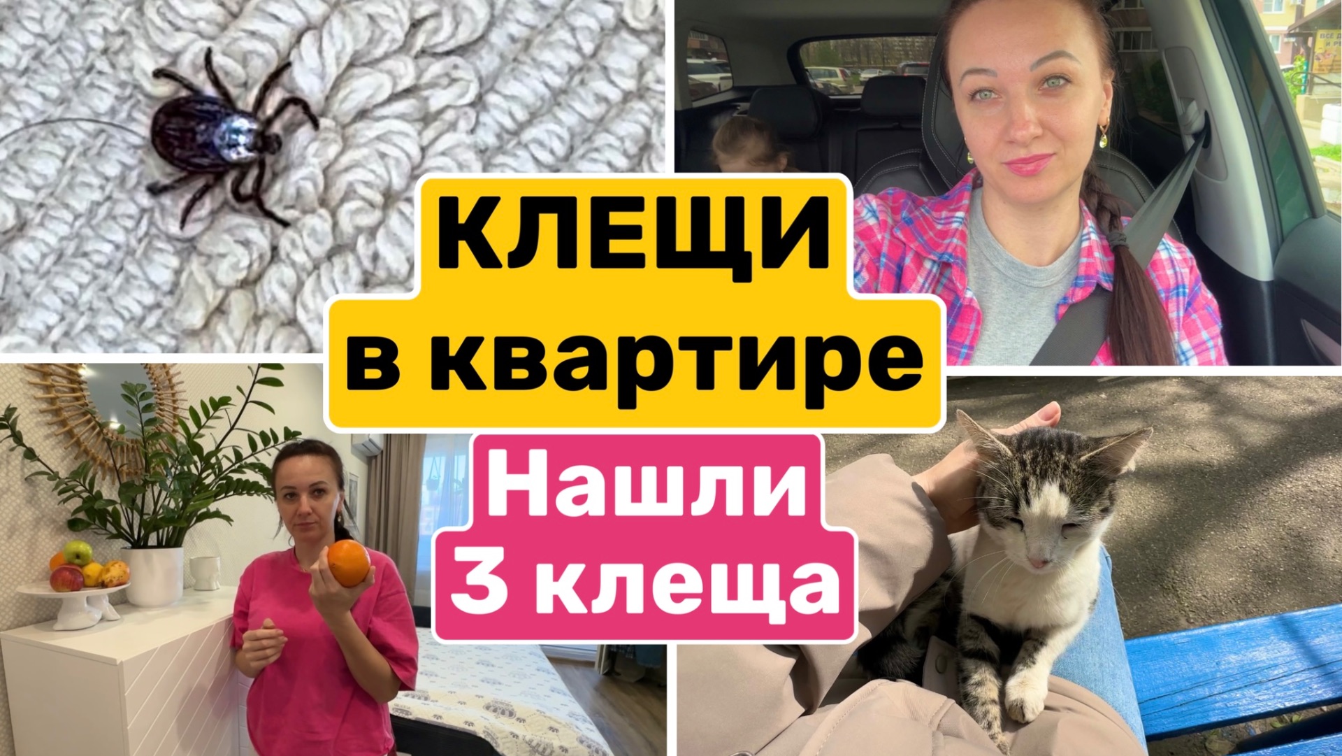 НАШЛИ 3х КЛЕЩЕЙ в квартире  ЮЛЯ хочет КУПИТЬ ГИТАРУ  Семейный влог