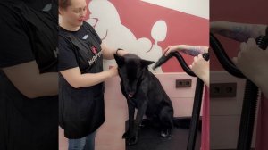 YouCut_20240515_150157552[1]