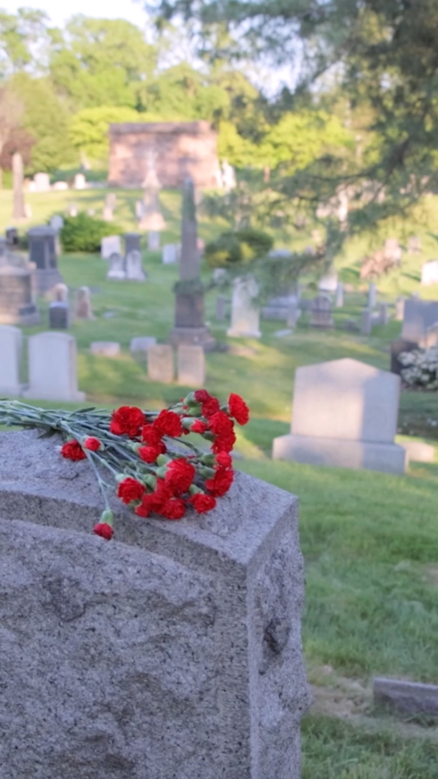 🧟♂️ «Земля тебе пухом»? На Крайнем Севере это не работает