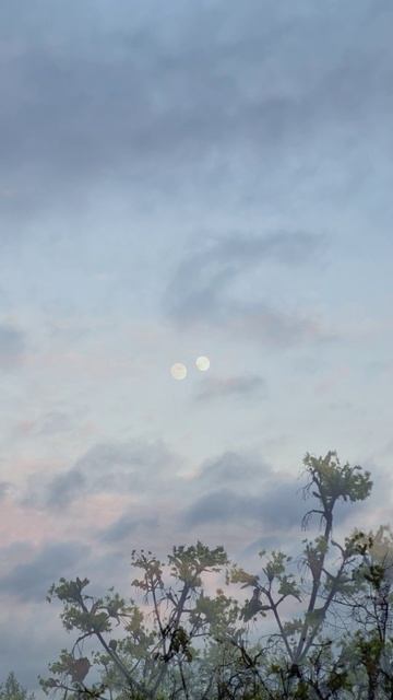 Клён луна и облака