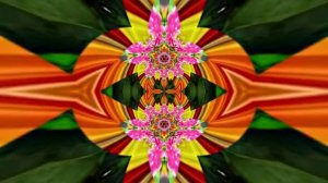 Футажи! Футаж Очаровательные фантастические пейзажи 5!