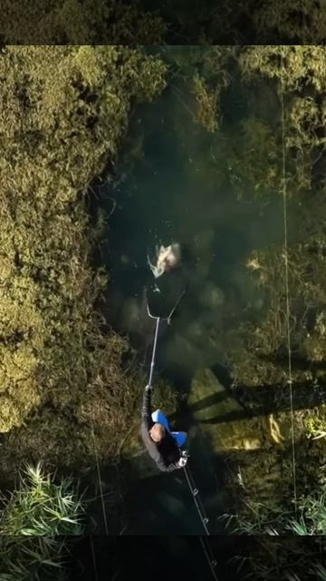 Поймал здоровенного карася! Залипательное видео..