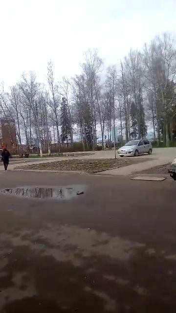 День как он есть: прямой эфир с места событий