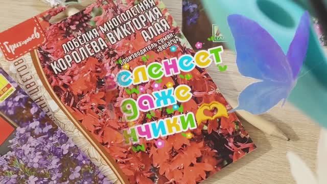 29.04.26  Зеленеют даже блины