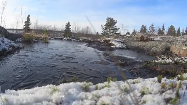 ЛЁД РАСТАЯЛ! ЧТО СЕГОДНЯ ПОПАДЁТ В МОРСКУЮ ЛОВУШКУ НА КОЛАХ ИЗ СЕТОК?