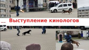 Кинологи Вологодского ФСИН демонстрируют работу собак