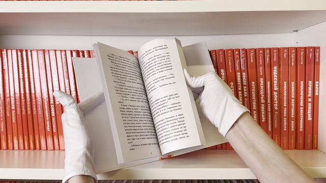 Кот-ворюга. Рассказы и сказки ил. А. Кардашука