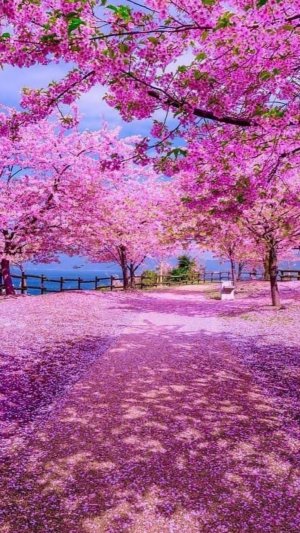 СО МНОЙ ХМЕЛЬНАЯ  ВЕСНА !!!