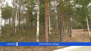 Осторожно, клещи!