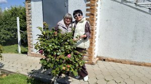 Абхазия/ Гудаута 28.04.26 хочется все успеть🤞 виды на миллион👍