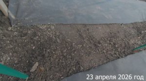 7 соток. Полностью досадила малиник. Хроника 23 апреля 2026 год