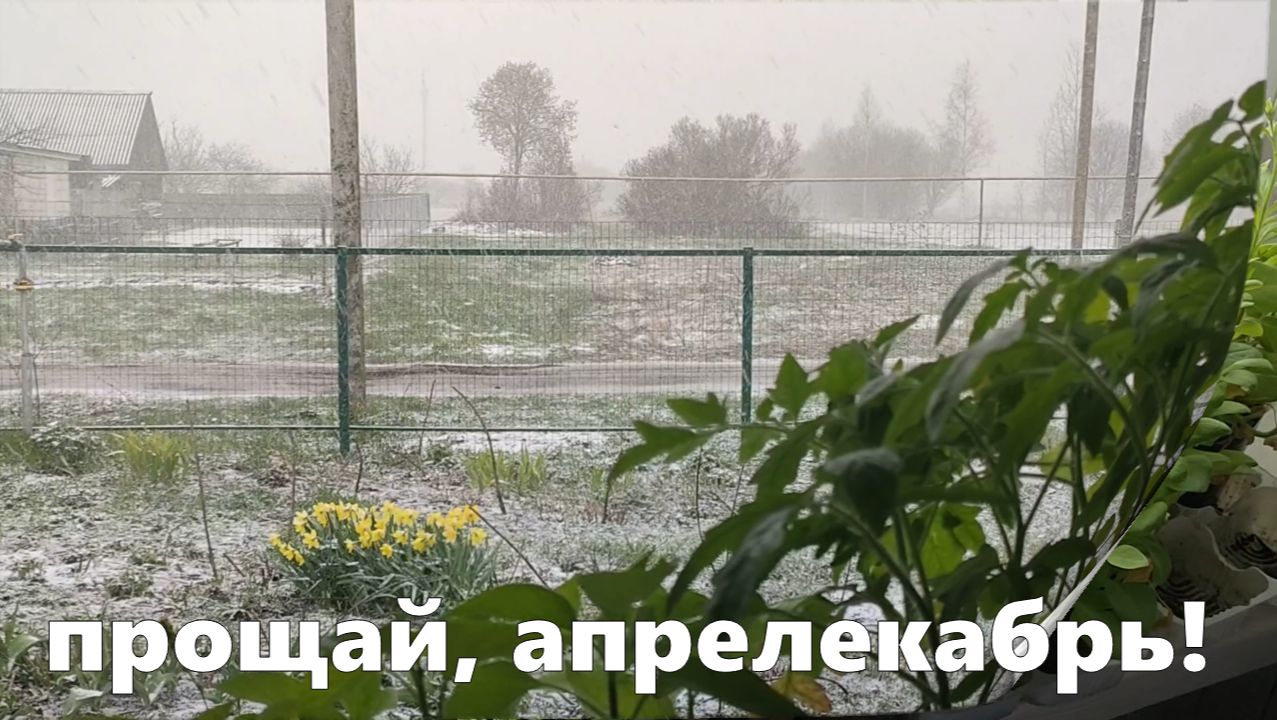 Конец апреля в деревне