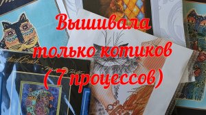 Вышивала только котиков (7 процессов)