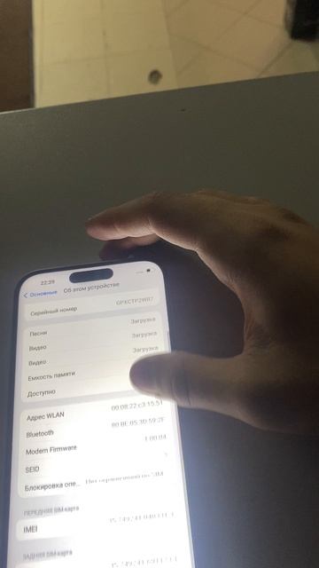 17пм реплика 2