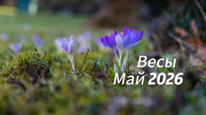 Прогноз для Весов на Май 2026